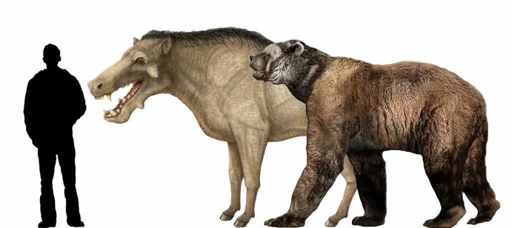Arctodus and deadon