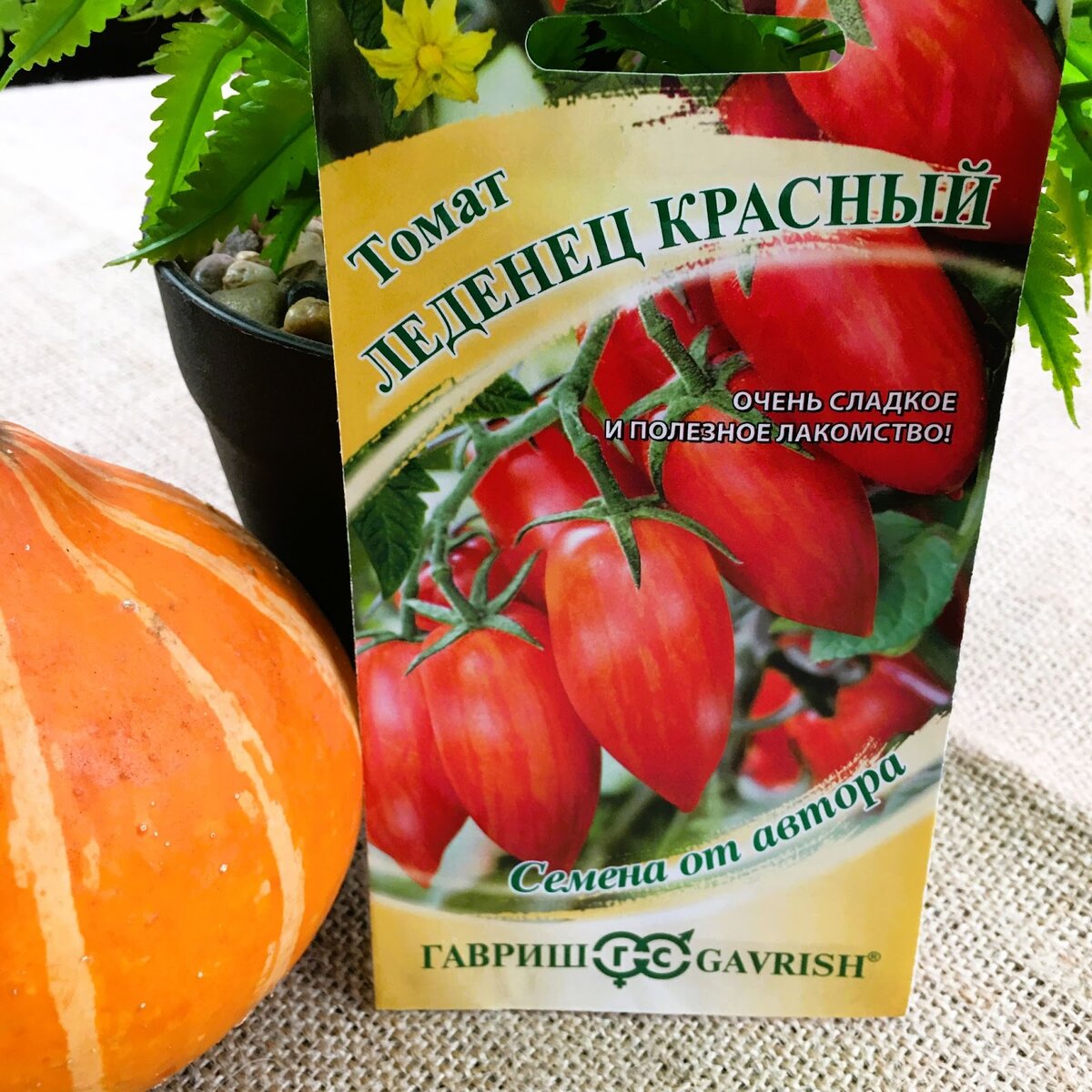 Семена Орешка Томат Леденец сладкая сосулька 10 шт. - купить в интернет-магазине