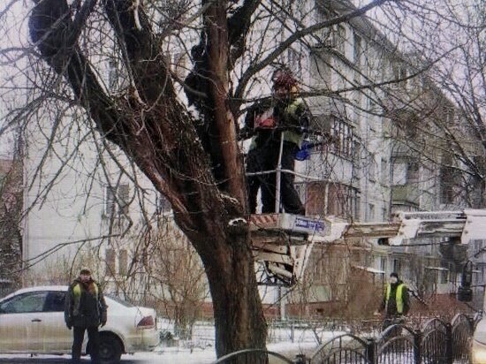     Фото: Калугаблагоустройство