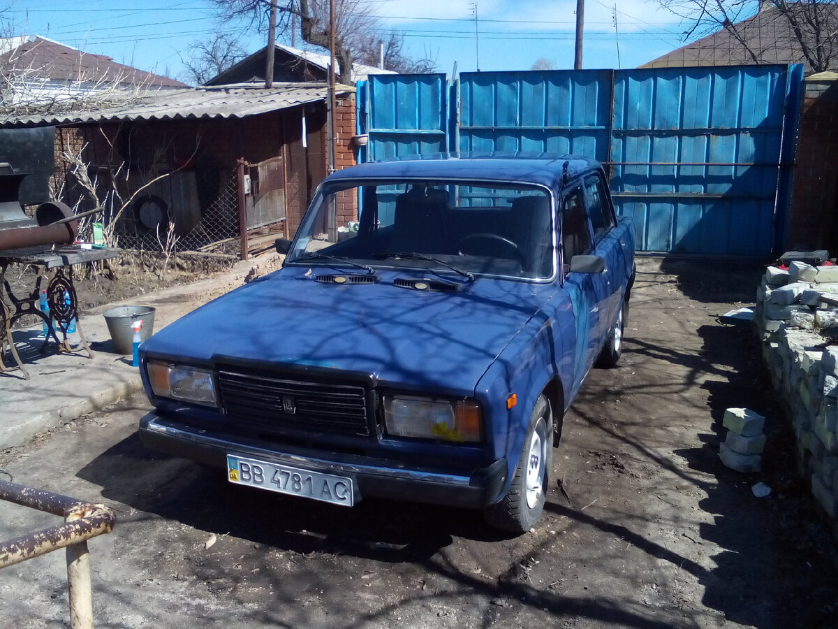 Моя первая ласточка