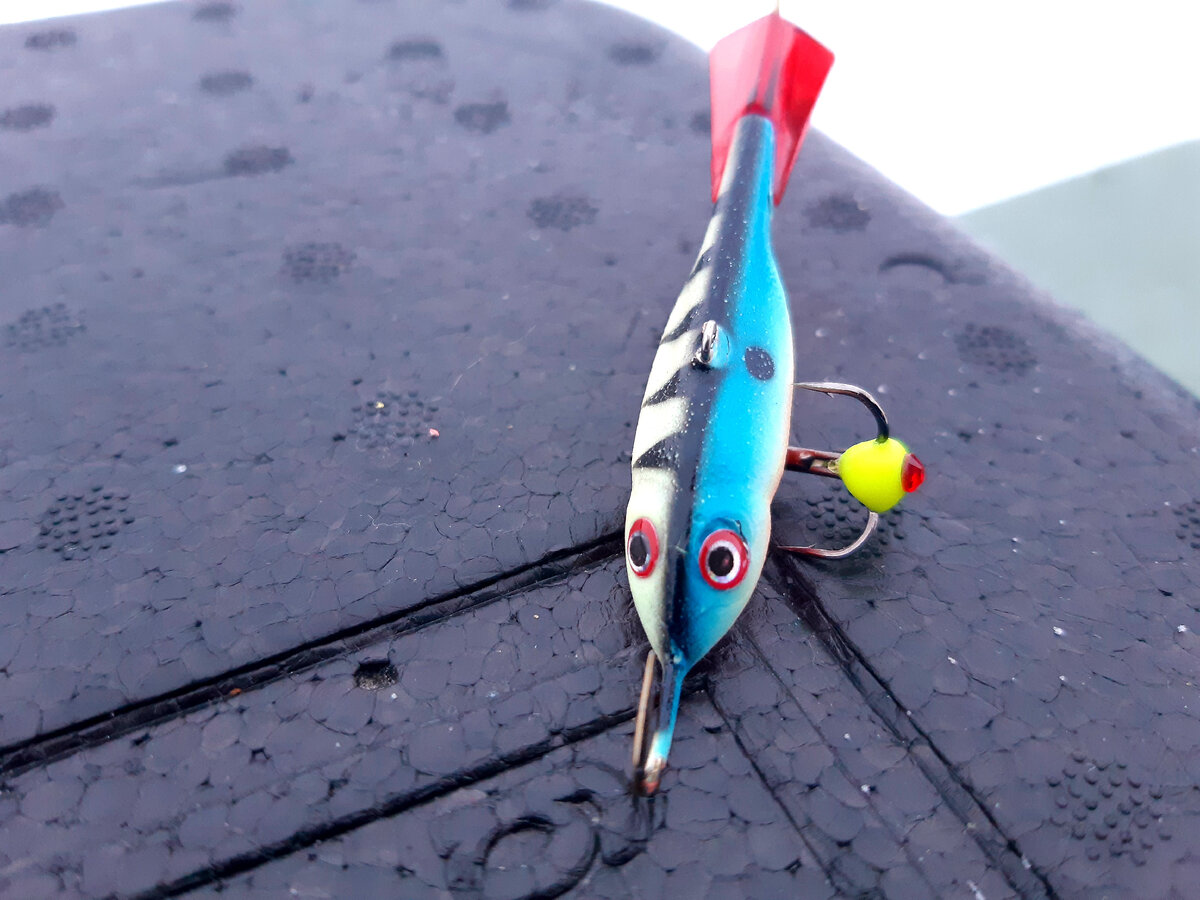 Светонакопительный  красавчик.