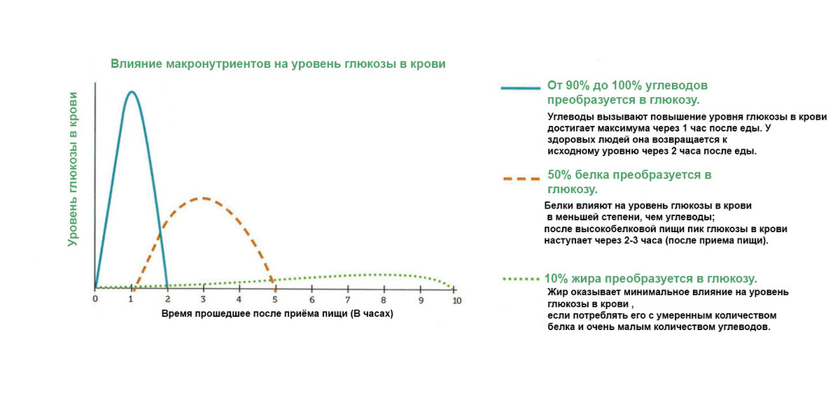Влияние макронутриентов на уровень глюкозы в крови