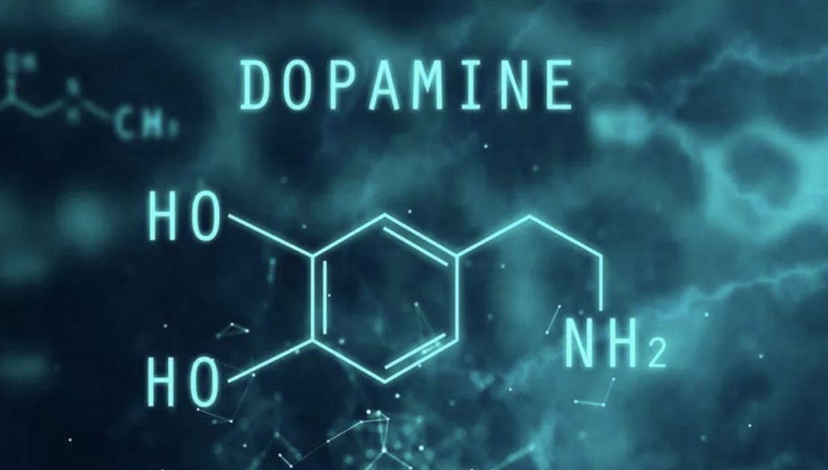 Дофамин нижний новгород. Дофамин картинки. Дофамин формула. Дофамин химия. Дофамин гормон.