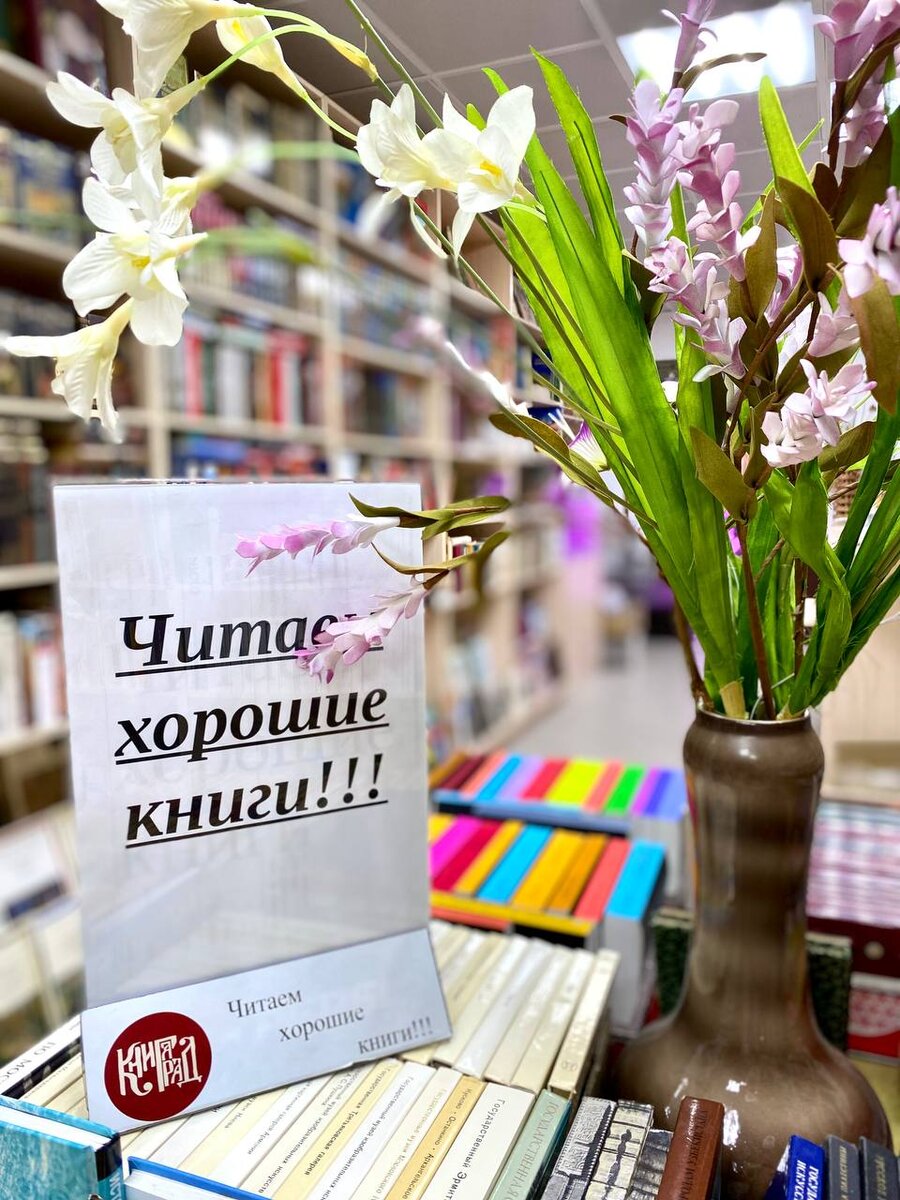 КНИГАГРАД – книжный магазин в Туле, где не только читают хорошие книги |  Культурные прогулки | Дзен