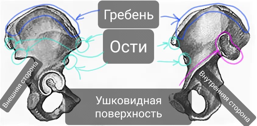 Стоковые фотографии по запросу Таз