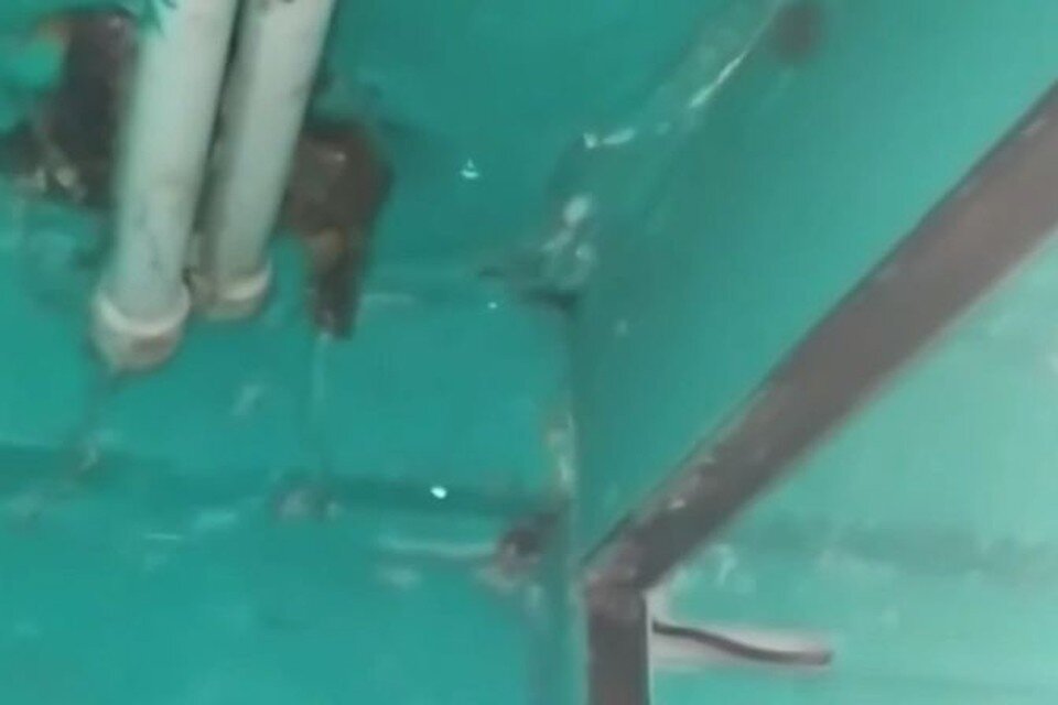     Фото: скриншот с видео «Черное и белое Барнаул»