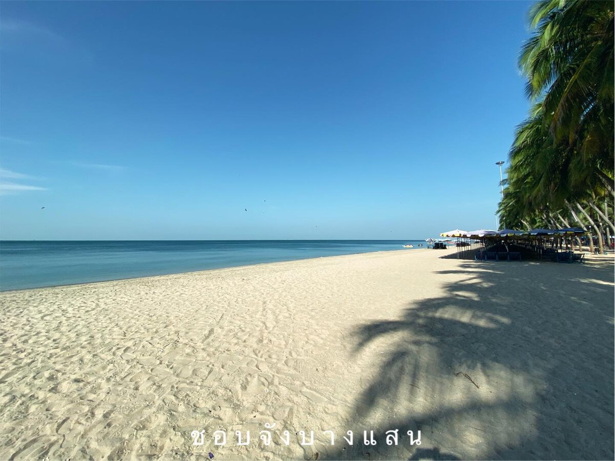 Фото из открытых источников.