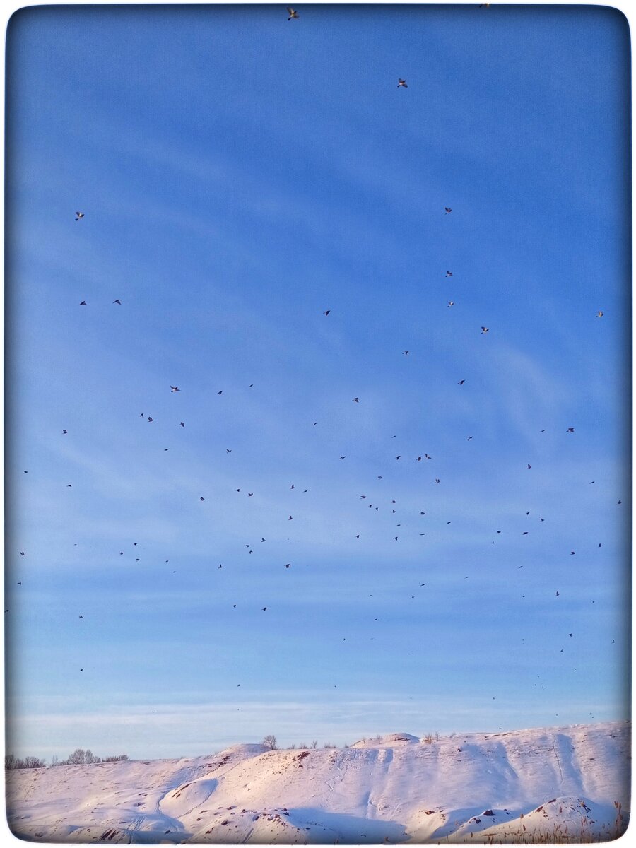 Хочется написать другое сравнение, но не буду. Пусть будут пчёлками, бабочками, птицами...