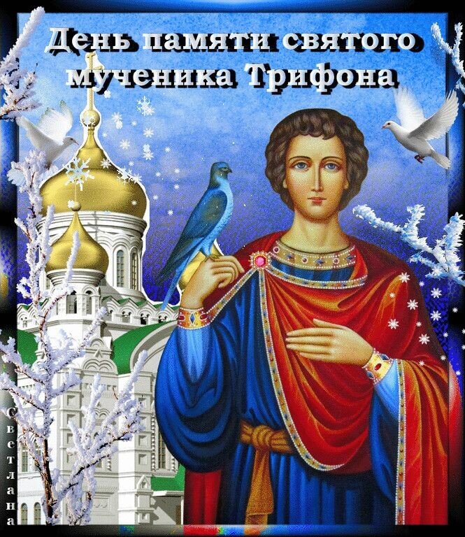 14 февраля память мученика трифона. День святого мученика трофима 14 февраля. 14 февраля православный. Предпразднство сретения господня 14 февраля. 14 февраля православный.