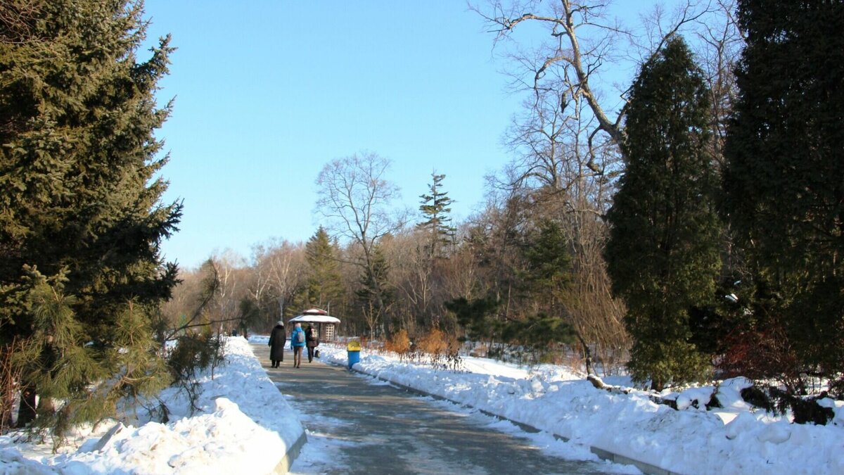    Согласно данным Примгидромета, 14 февраля выдастся прохладным, а в некоторых муниципалитетах — еще и снежным. Средняя температура воздуха составит -12…-7°C.