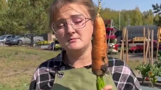 Семена Алтая. Дачные советы от Виктории Карелиной | МОРКОВЬ вырастет ...