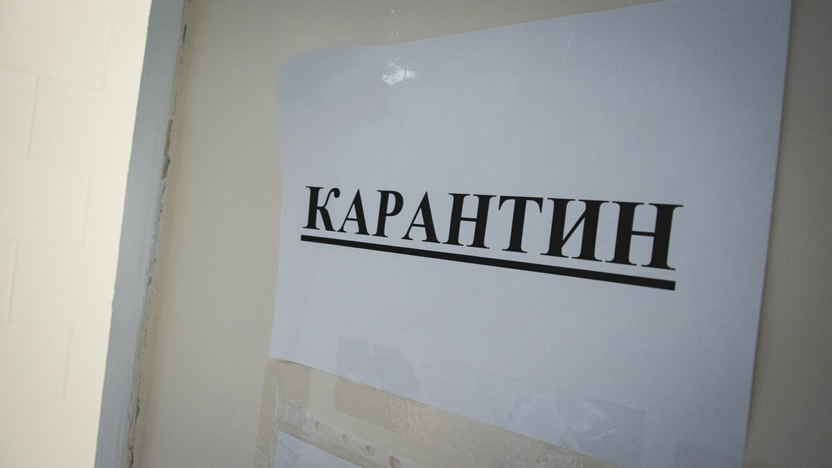     Очаг заражения нашли в деревне Березовка.
