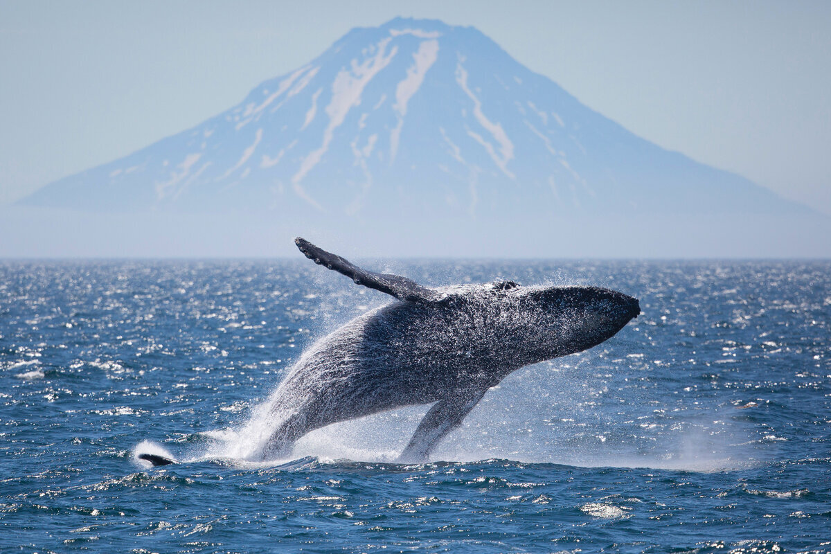 Фото взято из открытых источников