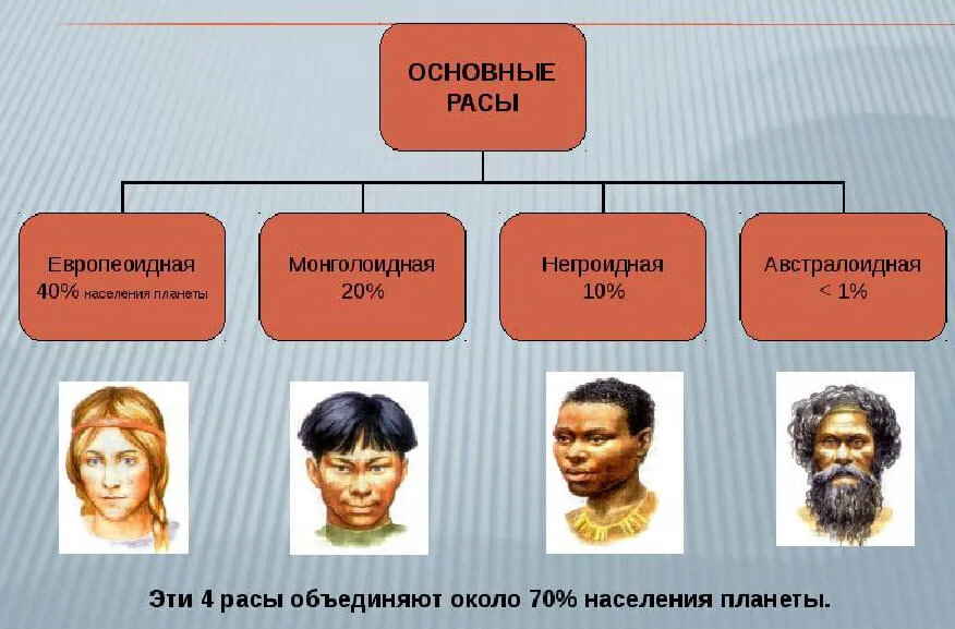 Презентация на тему человеческие расы