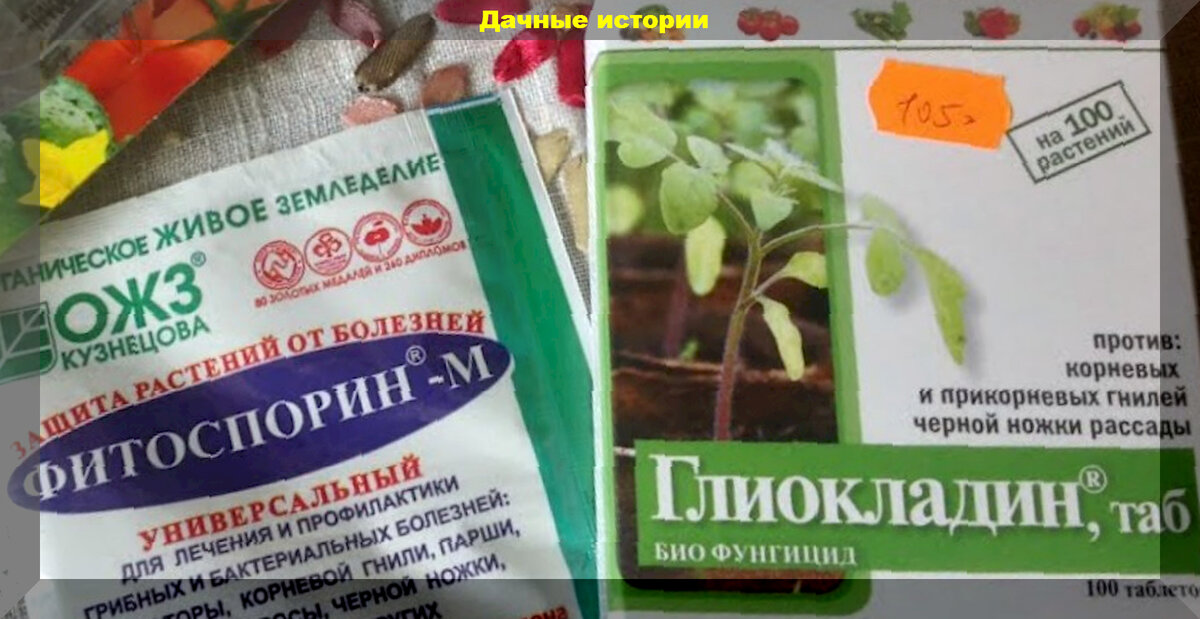 https://vk.com/photo-159774511_457259239
