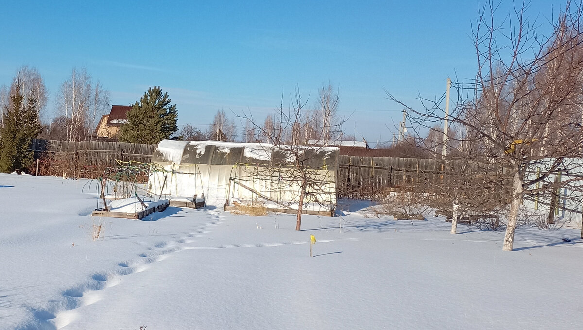 Теплица зимой