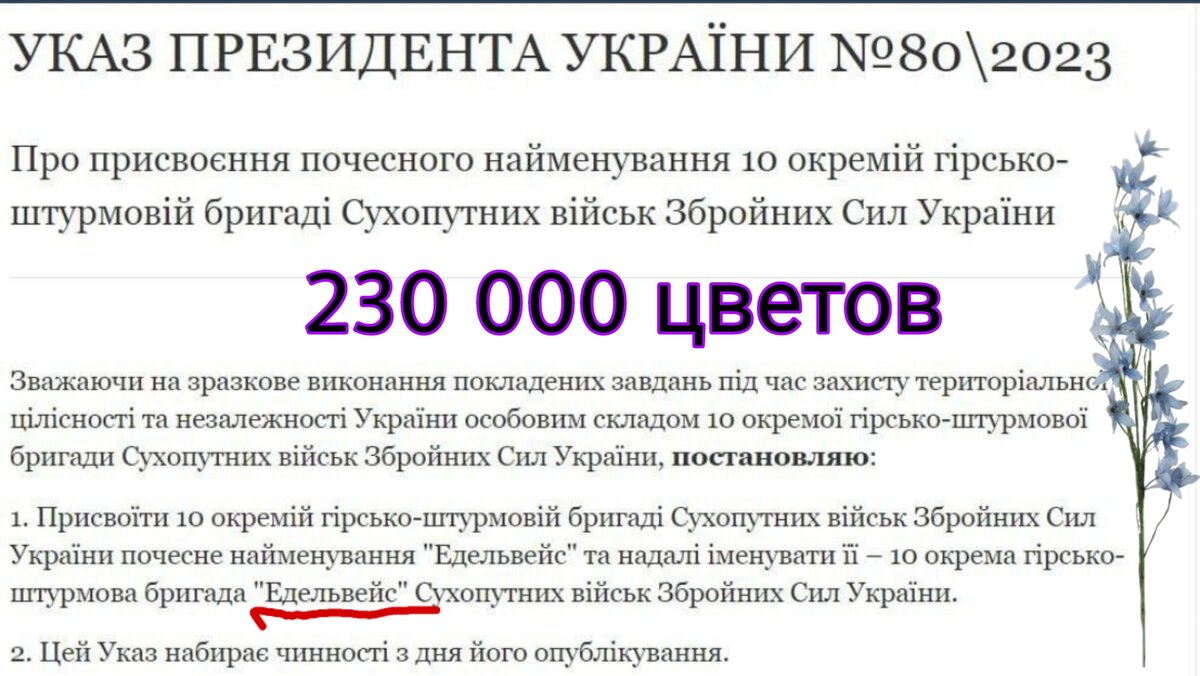 1 из 230 000. Плюсы/минусы быть учёным в 16 веке: плюсы- ты учёный. Минусы  - на костре печёный. У кого-то нефть, у кого-то потолок на нефть. | Тоня  Витушkинa | Дзен