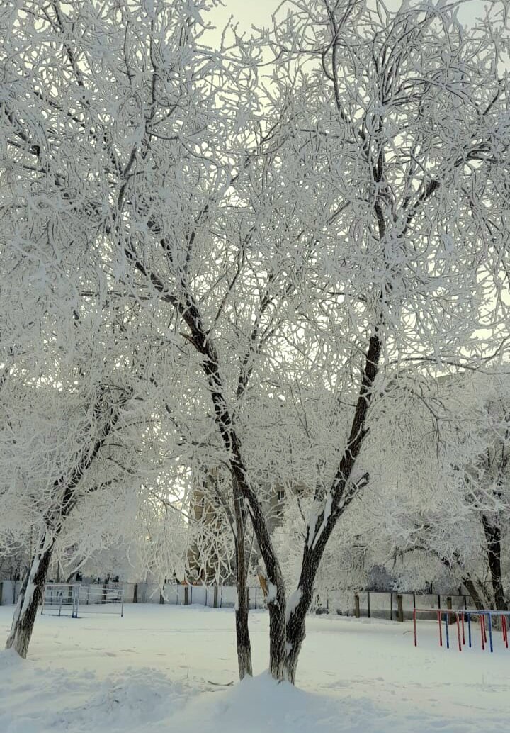 Красота
