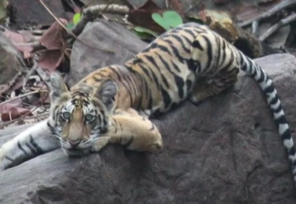 С ним рядом его любимые малыши