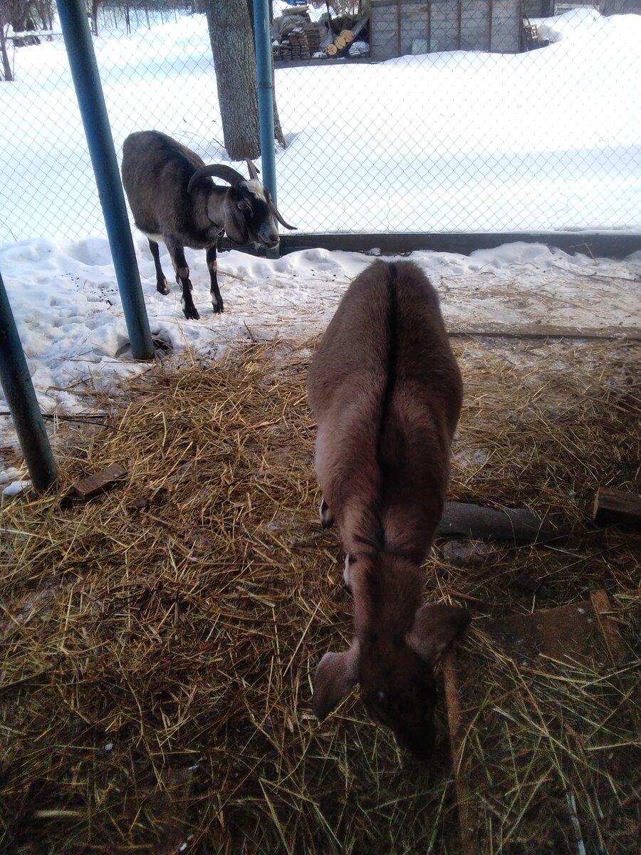 Фото автора. 