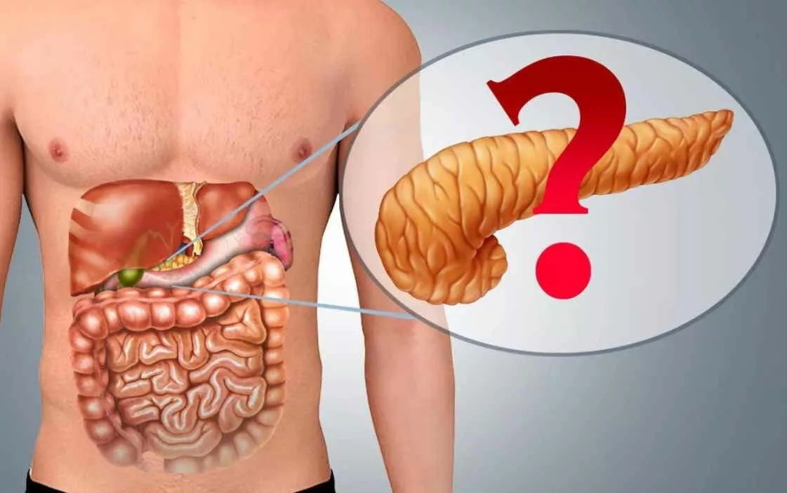 Как болит поджелудочная железа: симптомы и признаки панкреатита