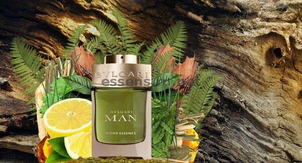 ESSENS 036 Aqua Man Wood
