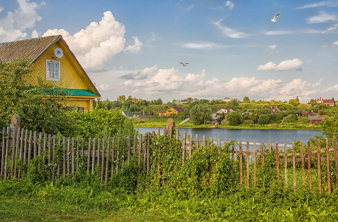 Яндекс картинки