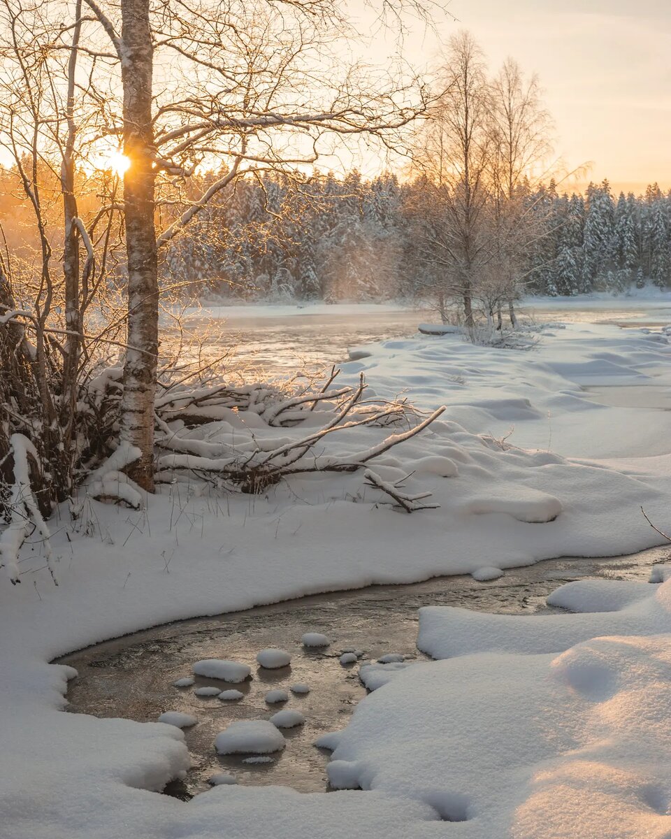 ������ �������