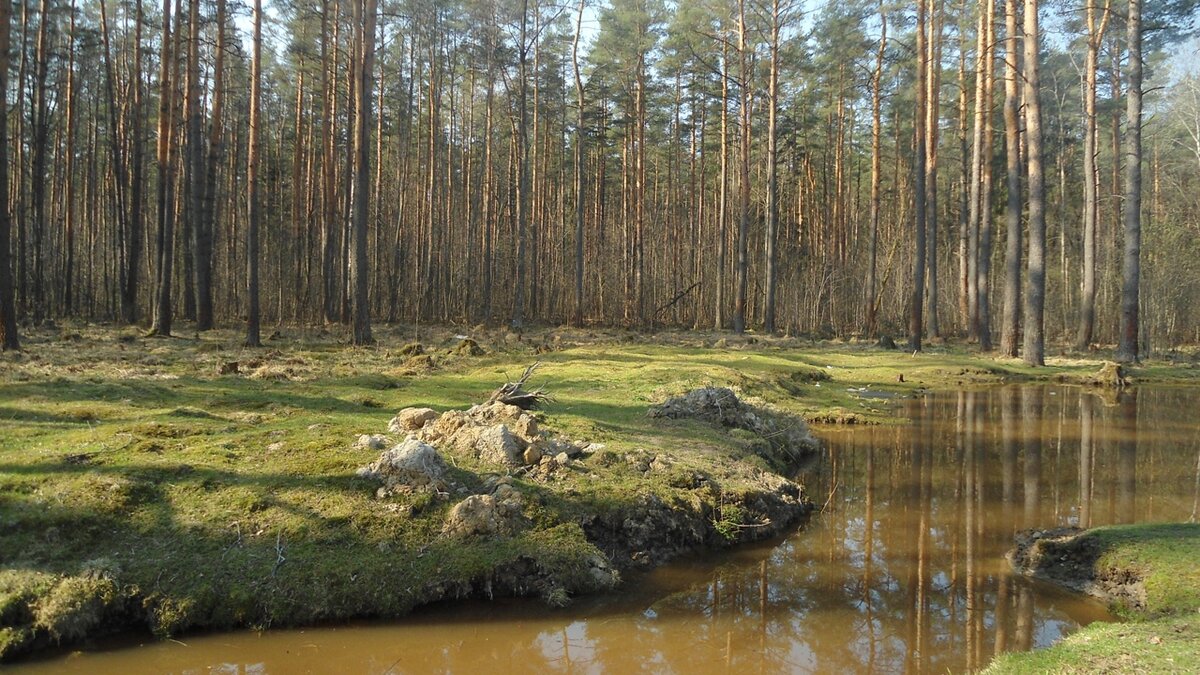 "Утро дворянина" - Нижний Новгород