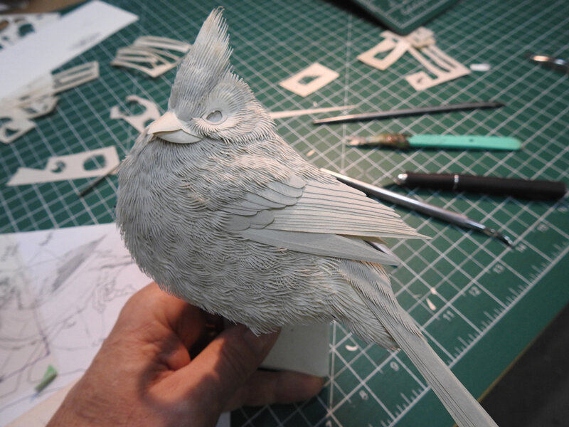 Источник: calvinnicholls.com