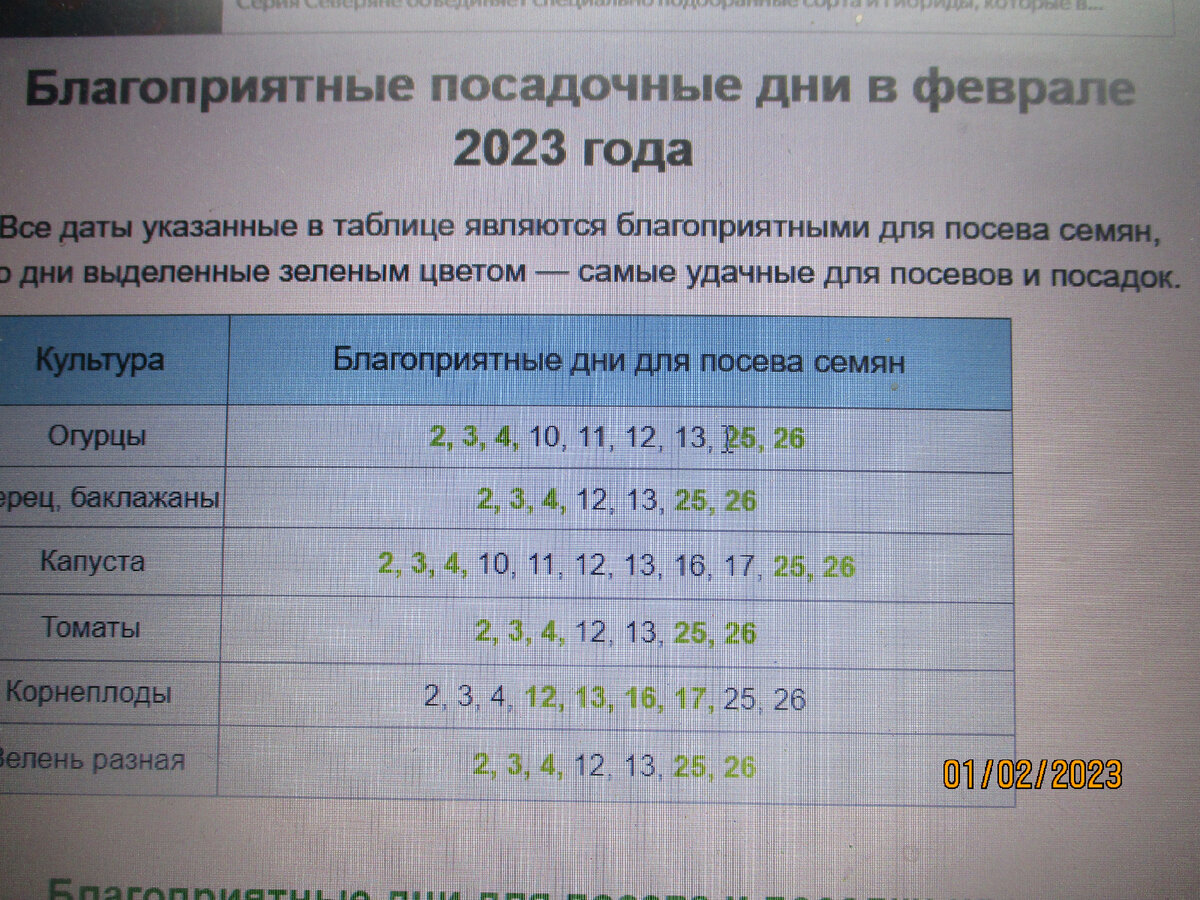 Благоприятные дни в феврале для посева цветов. Благоприятные дни для посева семян в феврале. Благоприятные дни в феврале. Благоприятные дни для посадки цветов в феврале. Благоприятные дни для посадки семян в феврале 2024.