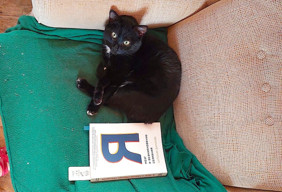 Маслинка, кажется, тут выглядит так, будто только что прочитала эту книгу, и на нее снизошло какое-то великое осознание бессмысленности бытия. 