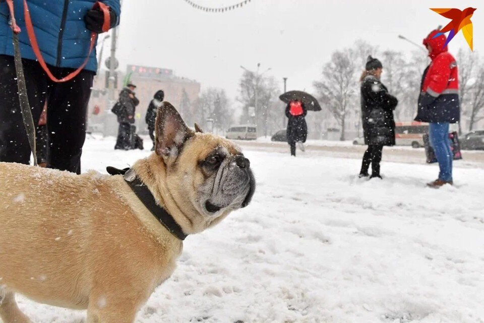     День Захария Серповидца празднуют 21 февраля - собрали запреты и приметы. Виктор ДРАЧЕВ