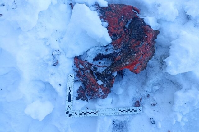    Фото: СУ СК РФ по Алтайскому краю