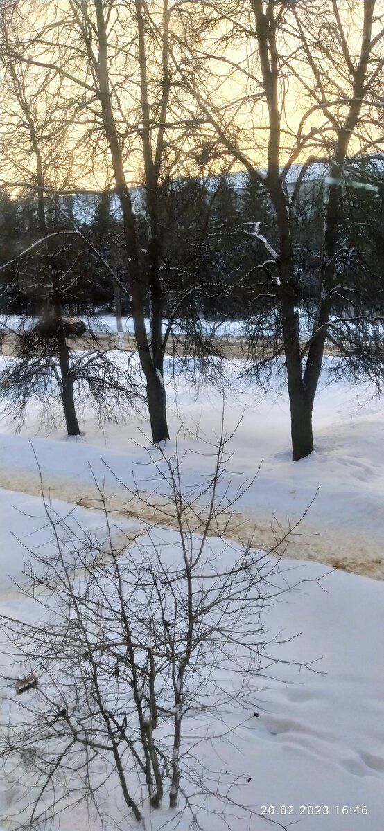 Фотография автора. 