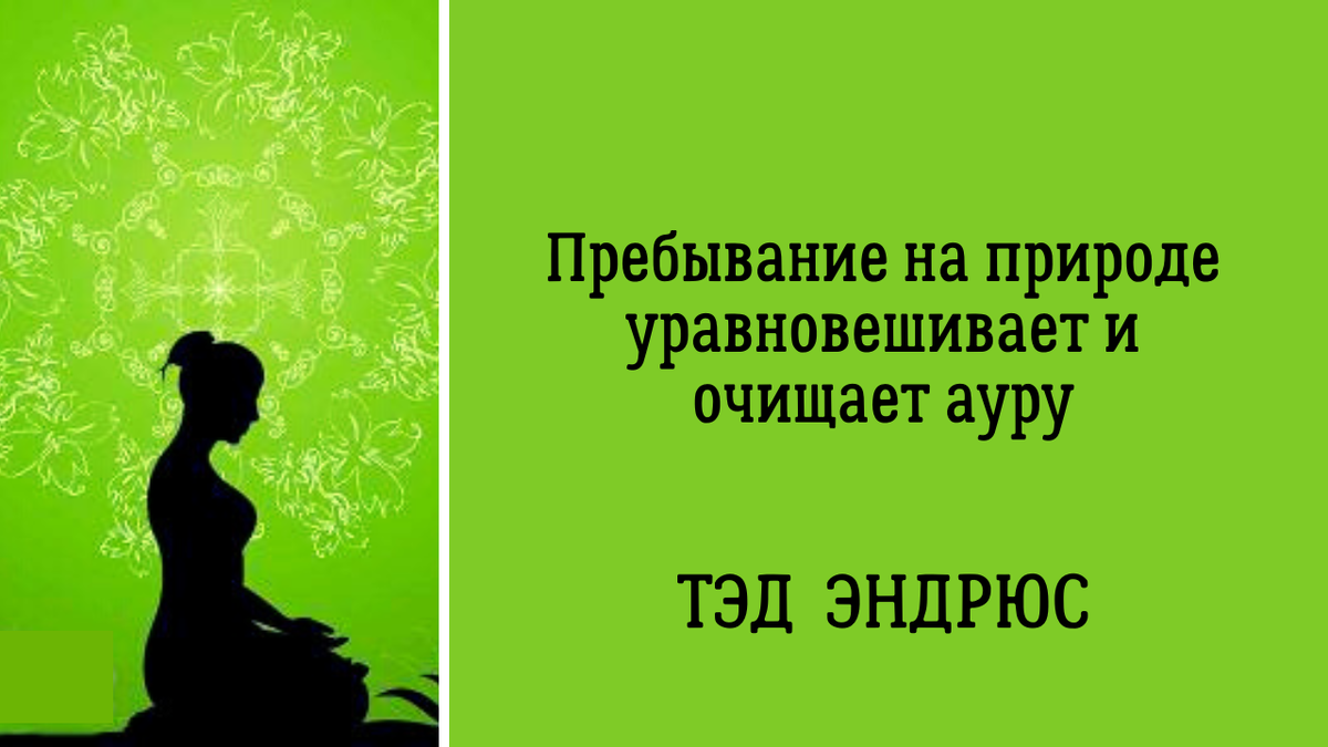 То, что всегда следует за мной: тайна ауры человека | Анна Клишина.  Путешествия без границ | Дзен