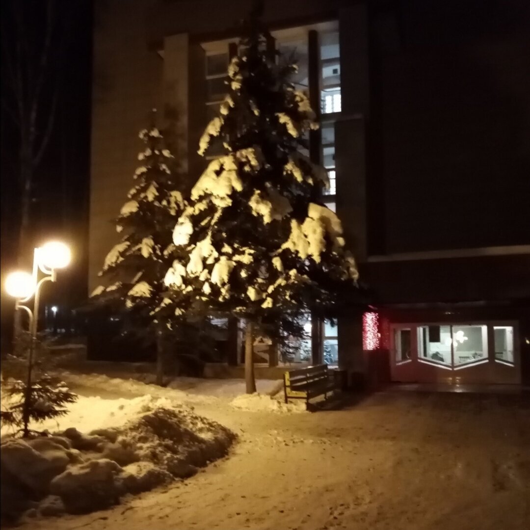 Огромные ели, как стражи стоят. 