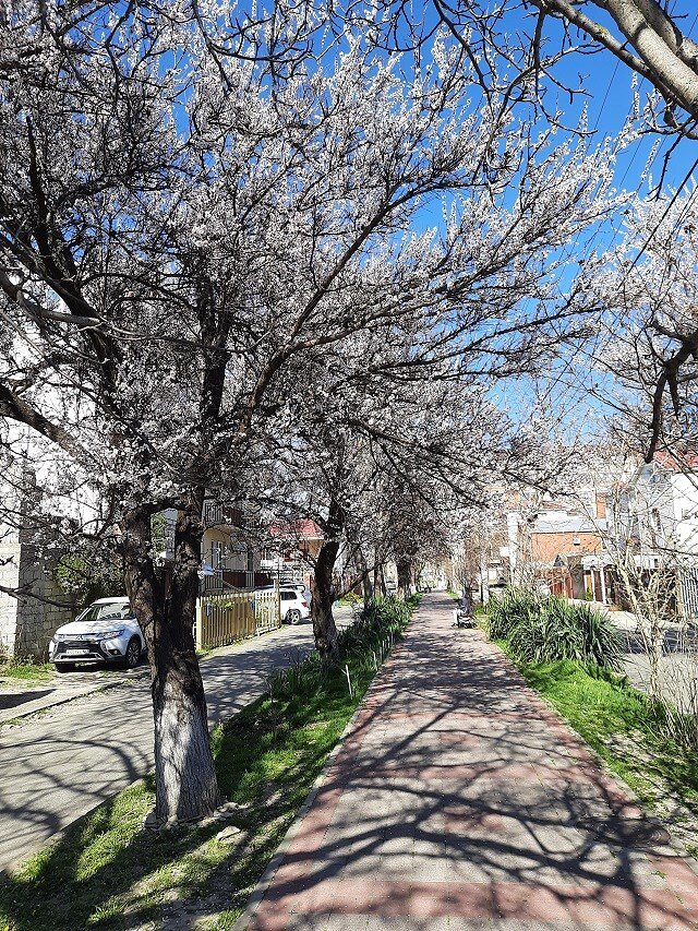 Весна в Анапе