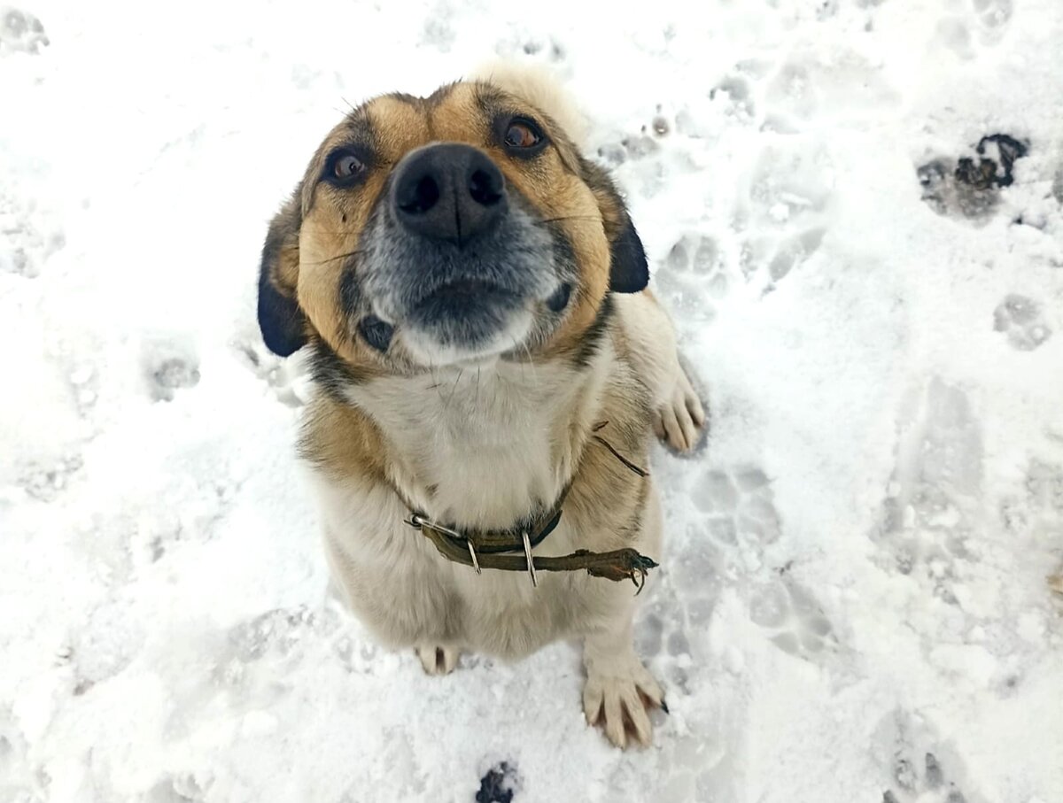 Ждет своего человека.