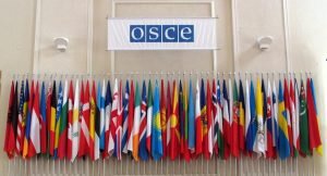    Фото: osce.org Ирина Амелина