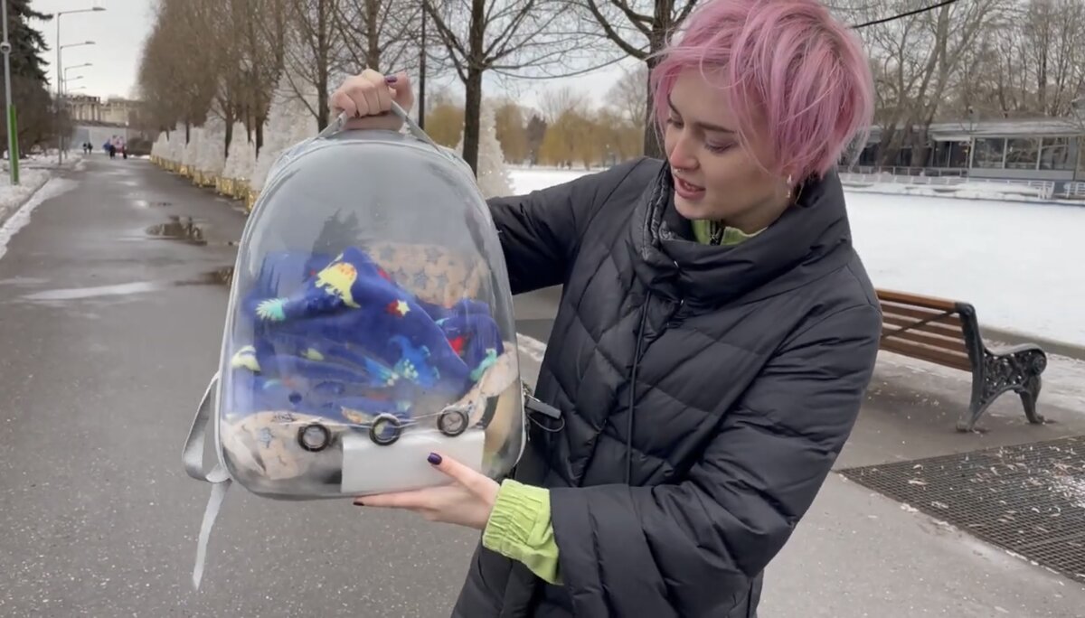 Между грелкой и ящерицами плед, а второй плед укрывает драконов сверху, плюс прогретый воздух в самом рюкзаке 