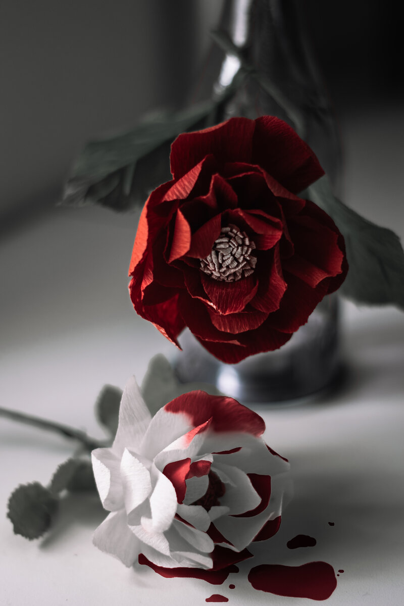   Photo by Mathilda Khoo on Unsplash.