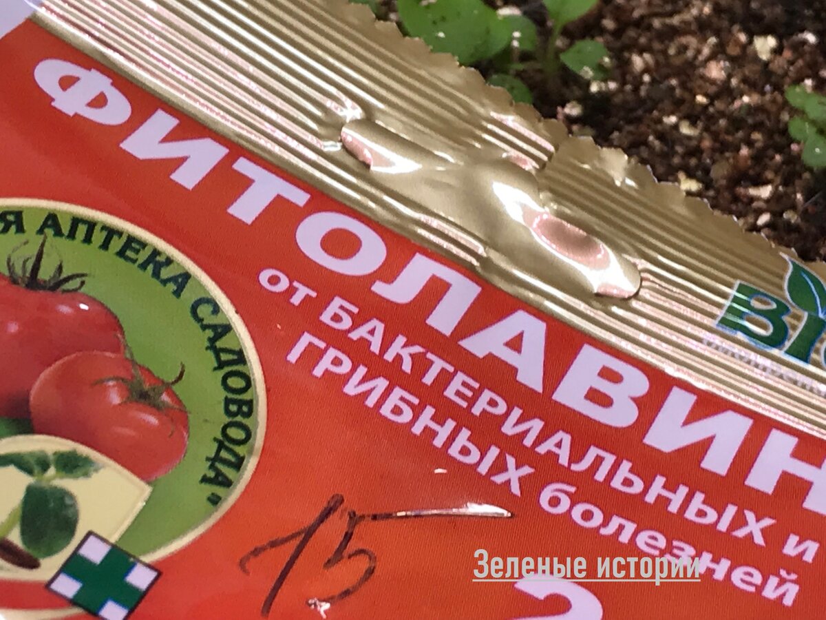 � ��� ����� �������� ����� 15 ������