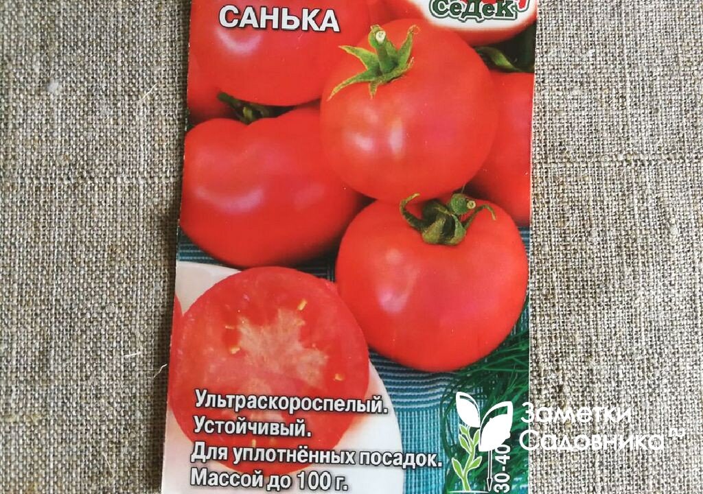 Сорт томата — Санька