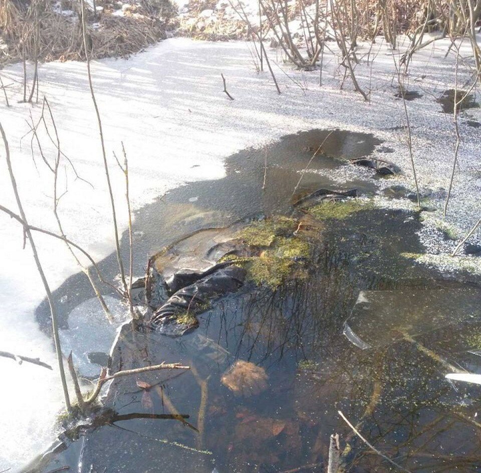    Трупы оказались вмерзшими в лед. Фото: СК Беларуси