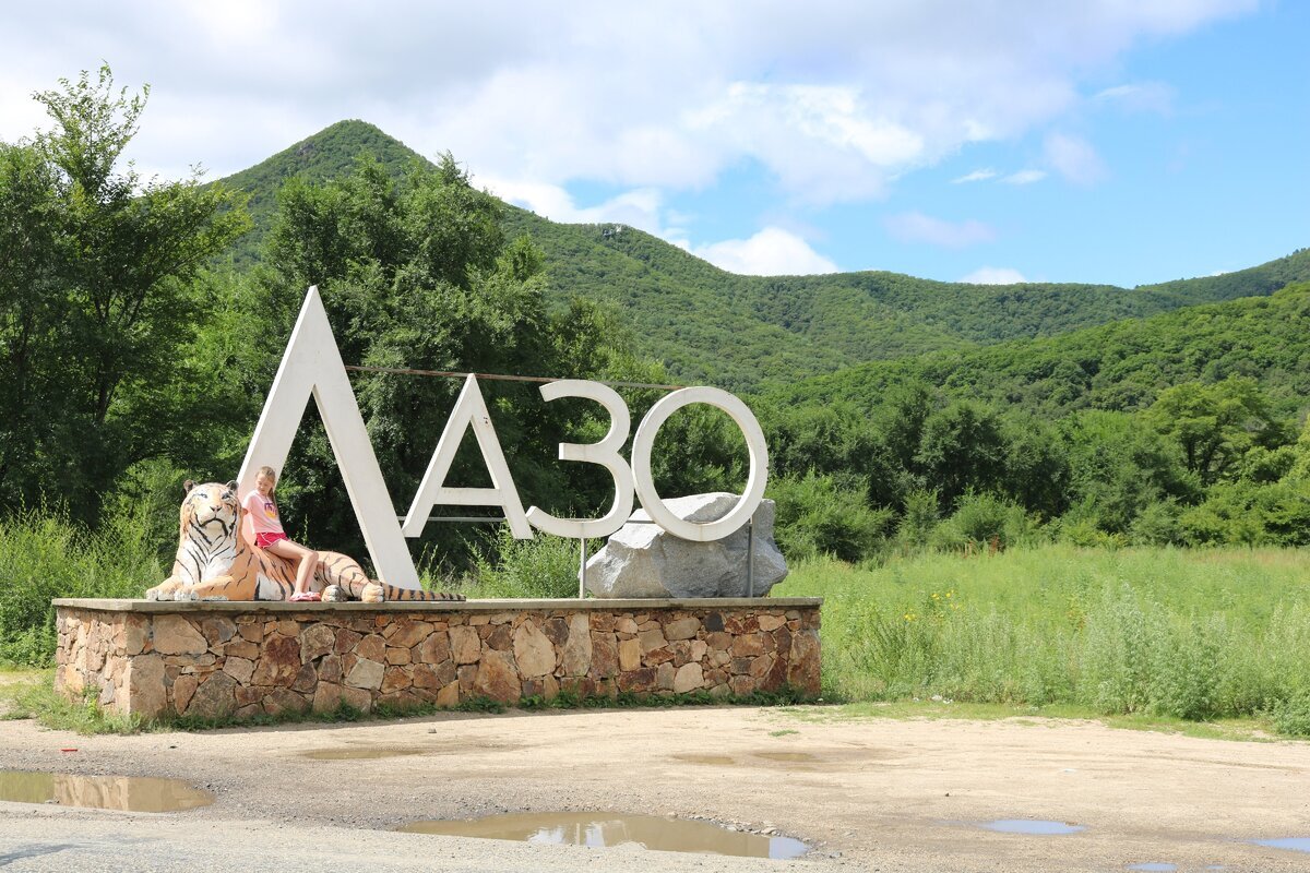 Взято из интернета