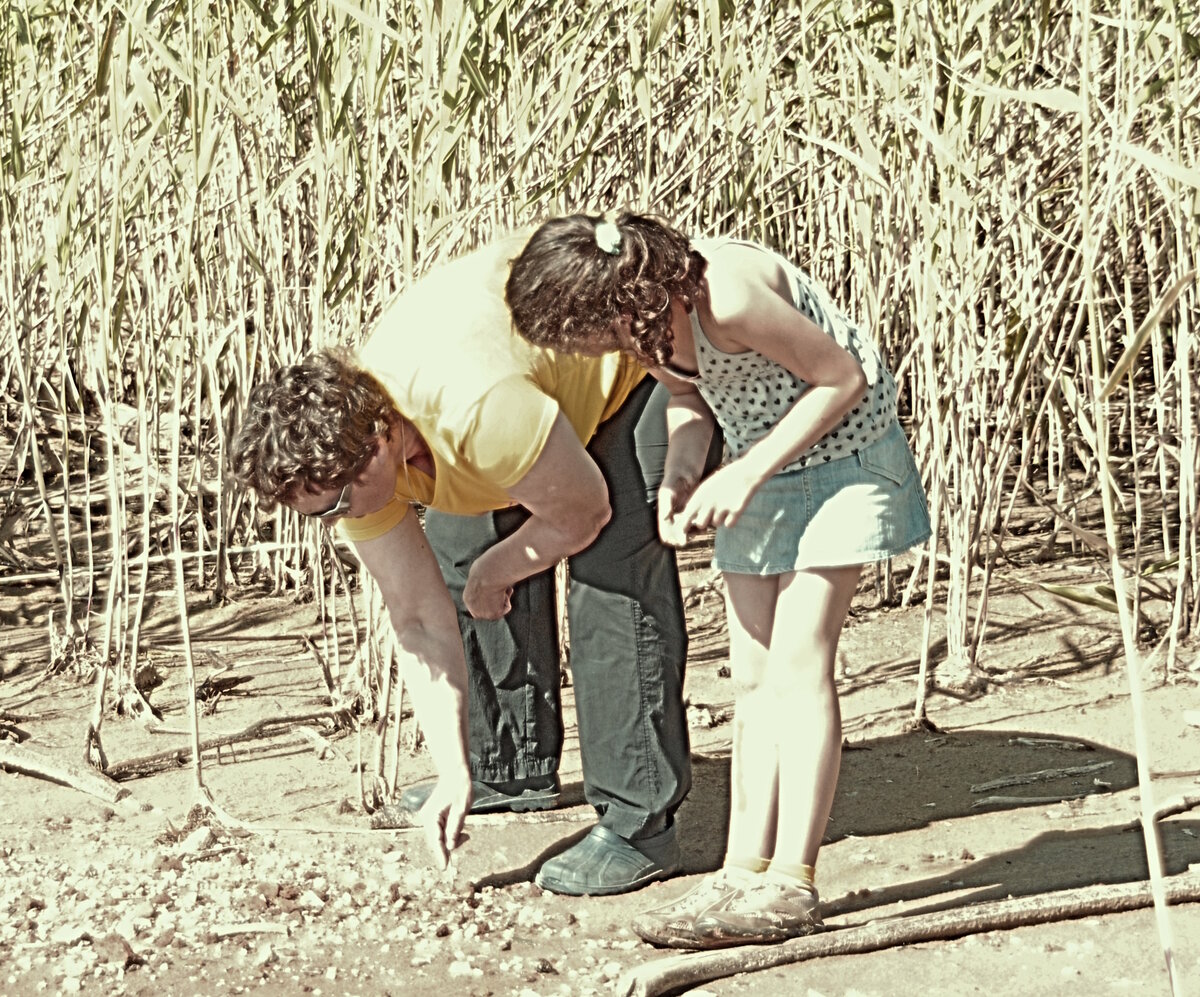 Сбор артефактов на отмелях. 