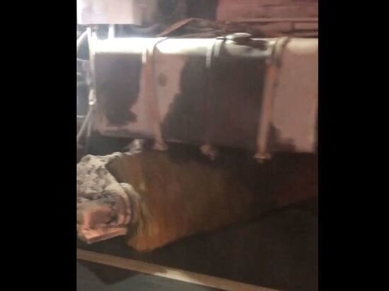     Фото: скриншот видео / vk.com/aomsk