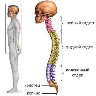 Картинка из интернета