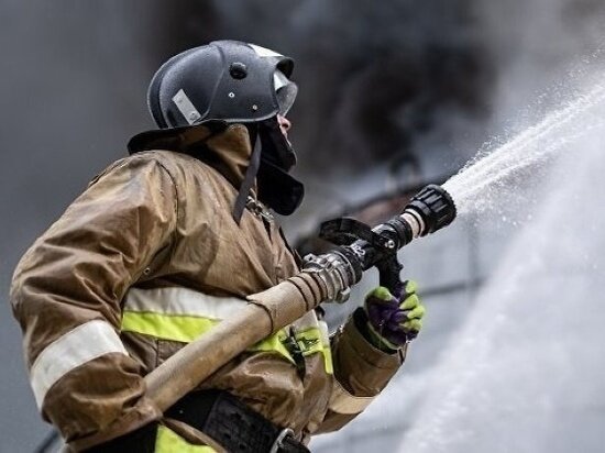     Фото: ГУ МЧС России по Томской области